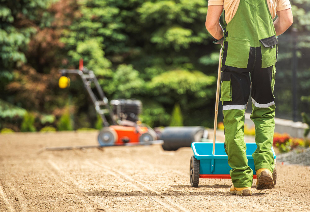 grass seeds distribution along backyard garden using manual spreader gardening theme